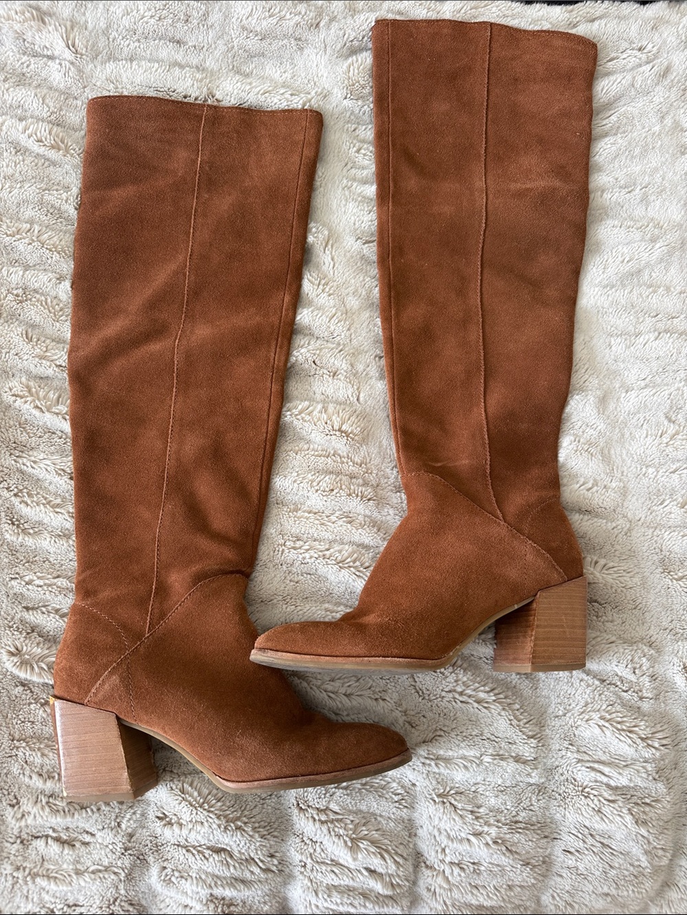 Treasure & Bond Chestnut Suede Over-the-Knee Block Heel Boots